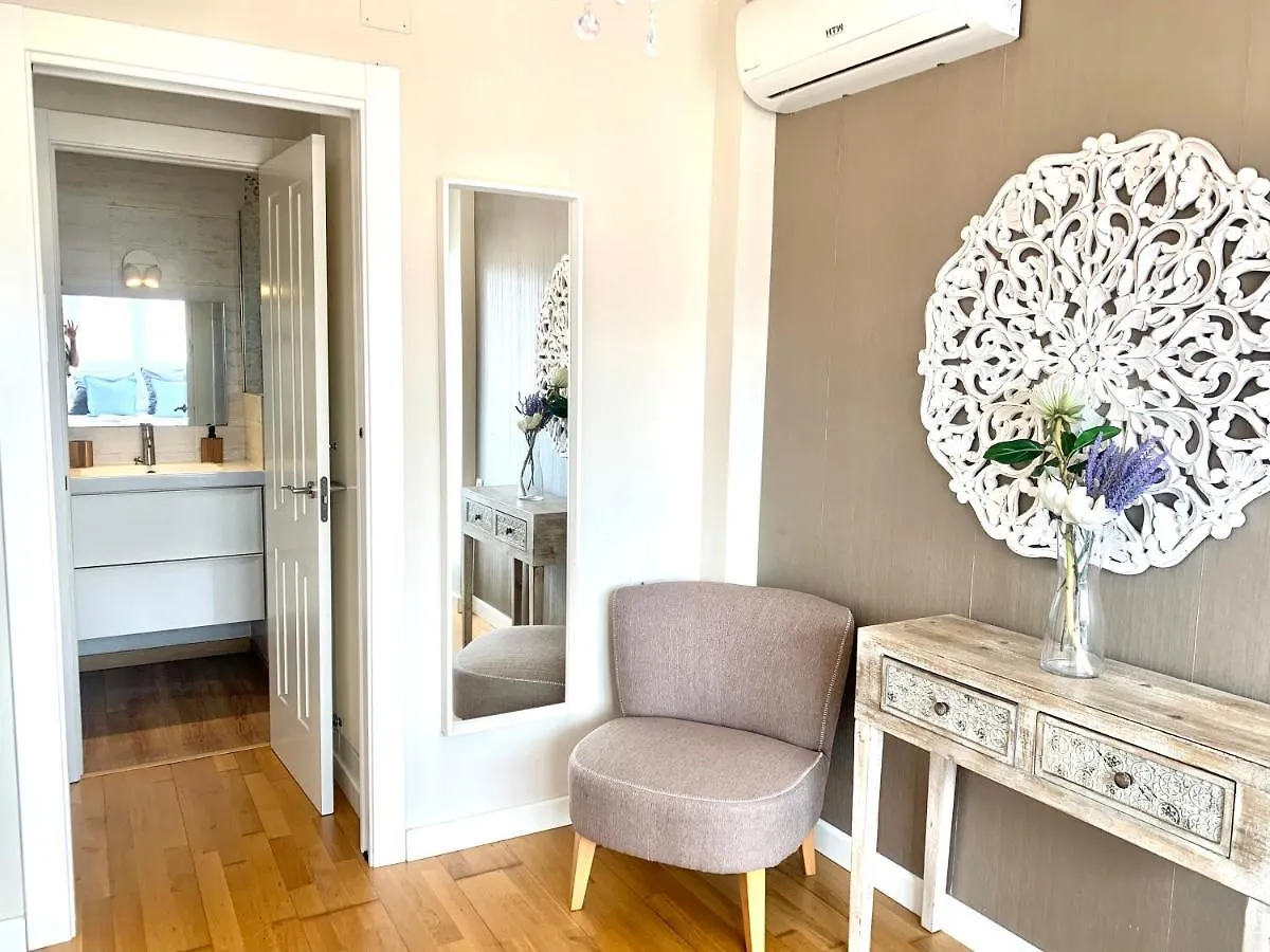 Apartment Homely Malaga San Juan De Letran Plaza De La Merced